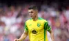 Milot Rashica in action for Norwich City