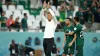 Saudi Arabia coach Herve Renard has challenged his side to make history (Adam Davy/PA)