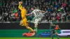 Guglielmo Vicario produced another strong display in Tottenham’s 2-1 win at Ferencvaros on Thursday (AP Photo/Denes Erdos/PA