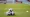 Devante Rodney on target as Rochdale thrash Yeovil