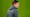 Paul Heckingbottom impressed with Preston’s display in win at Norwich